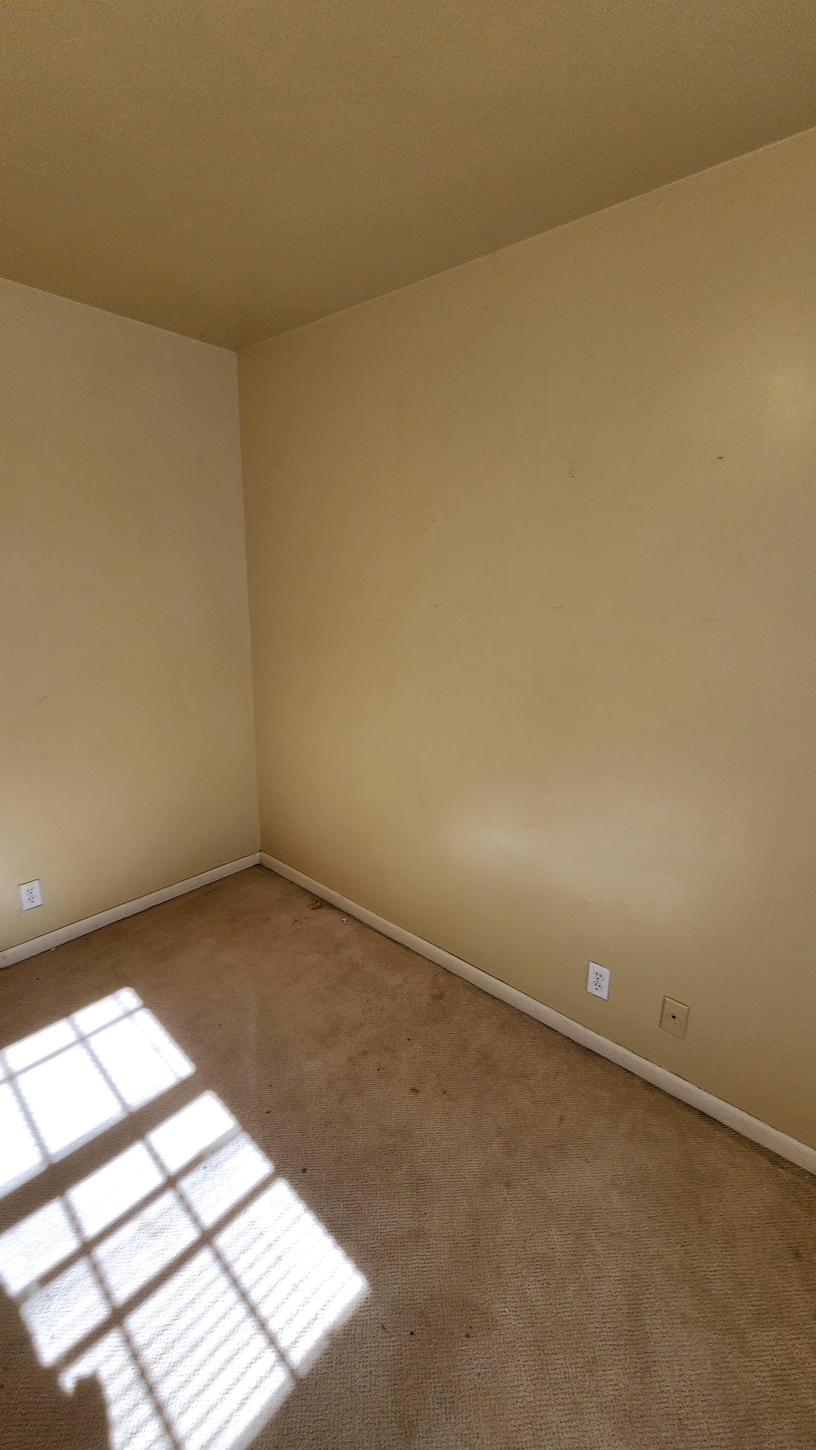 Flooring installation project gallery - Project 133 - Image 16